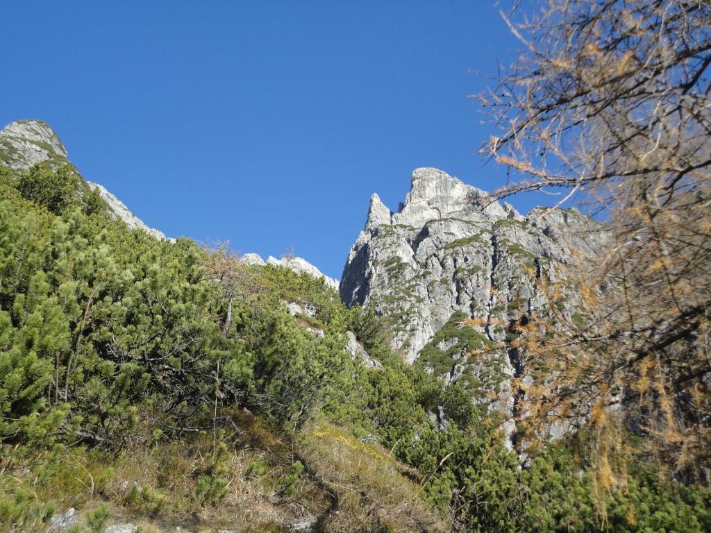 Gasthof Brentwirt Pensjonat Leogang Zewnętrze zdjęcie